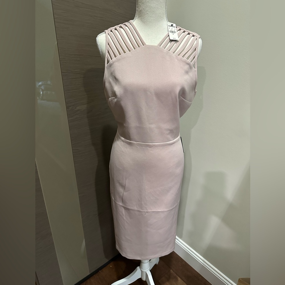 Medi blush dress by express